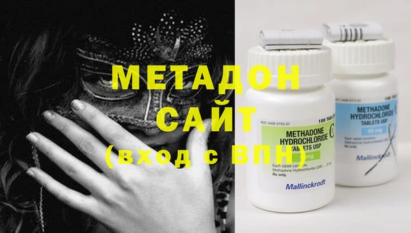 индика Алзамай