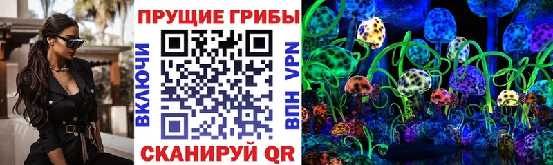 Псилоцибиновые грибы мицелий  МЕГА рабочий сайт  Гагарин  как найти наркотики 